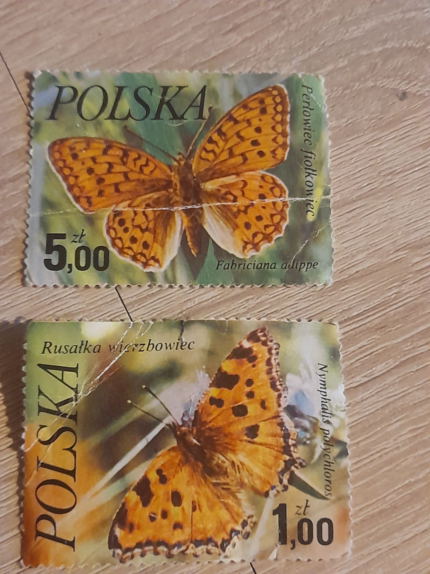 Znaczki pocztowe polska Rusałka wierzbowiec Perłowiec fiołkowiec