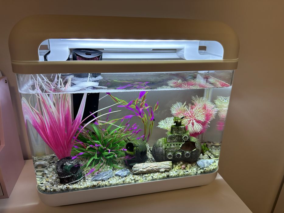 Akwarium wraz z zawaroscią
