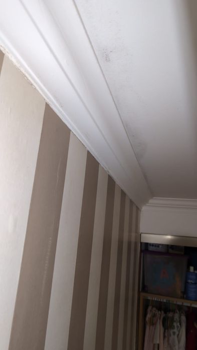 Remodelações e Pladur