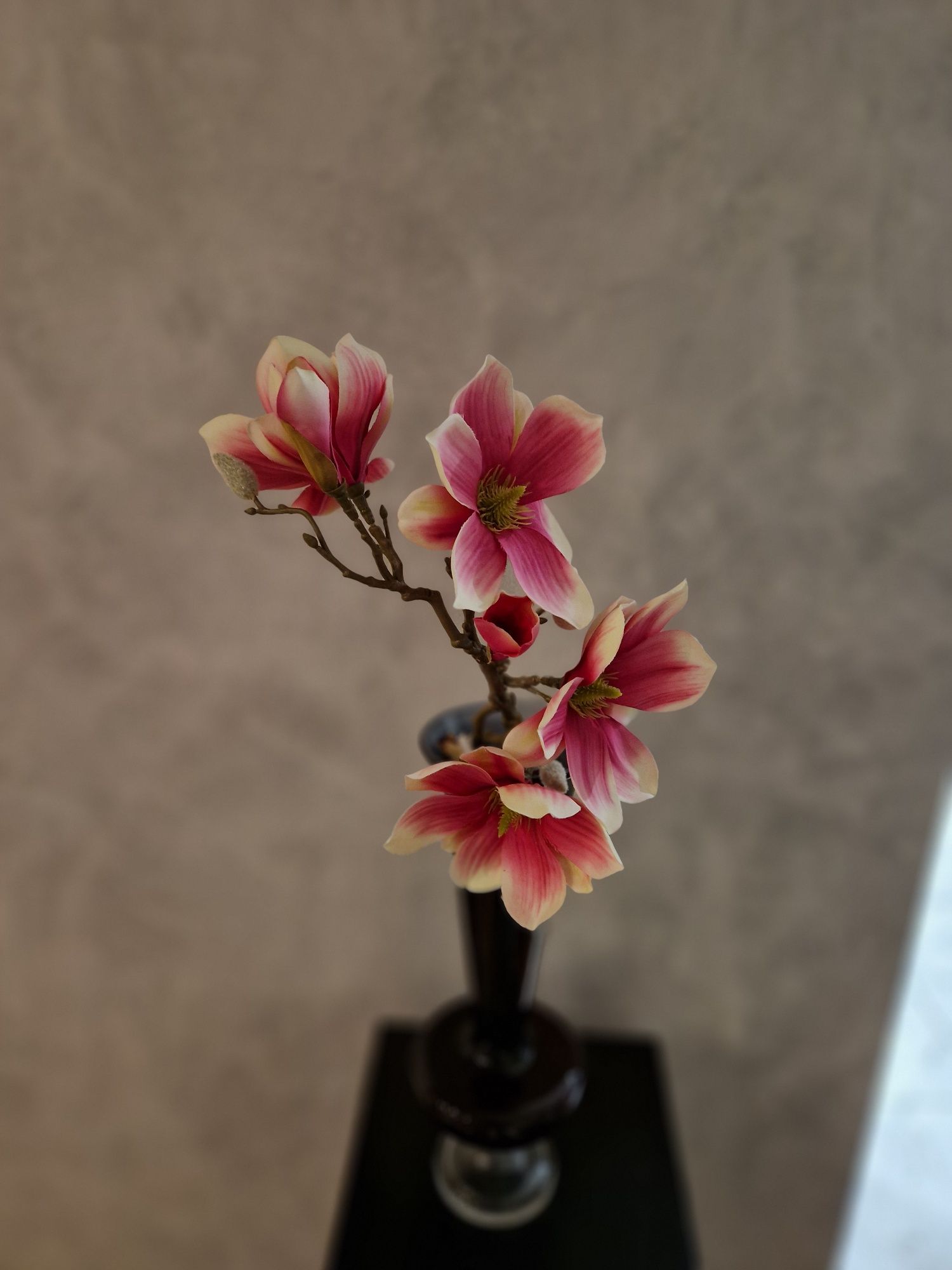 Magnolia 2 gałązki