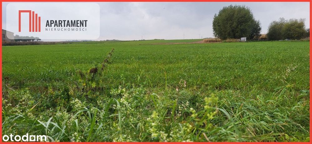 Działki Budowlane - Wyrzysk Skarbowy