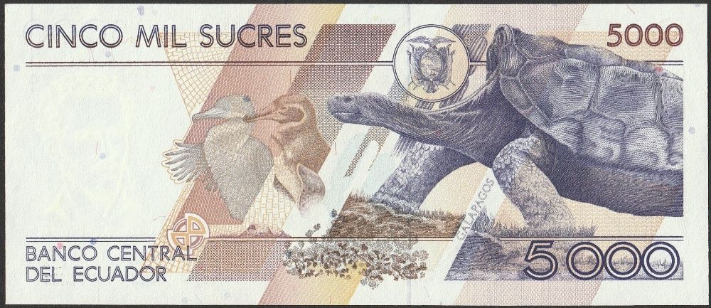 Ekwador 5000 sucre 1999 - Juan Montalvo - stan bankowy UNC