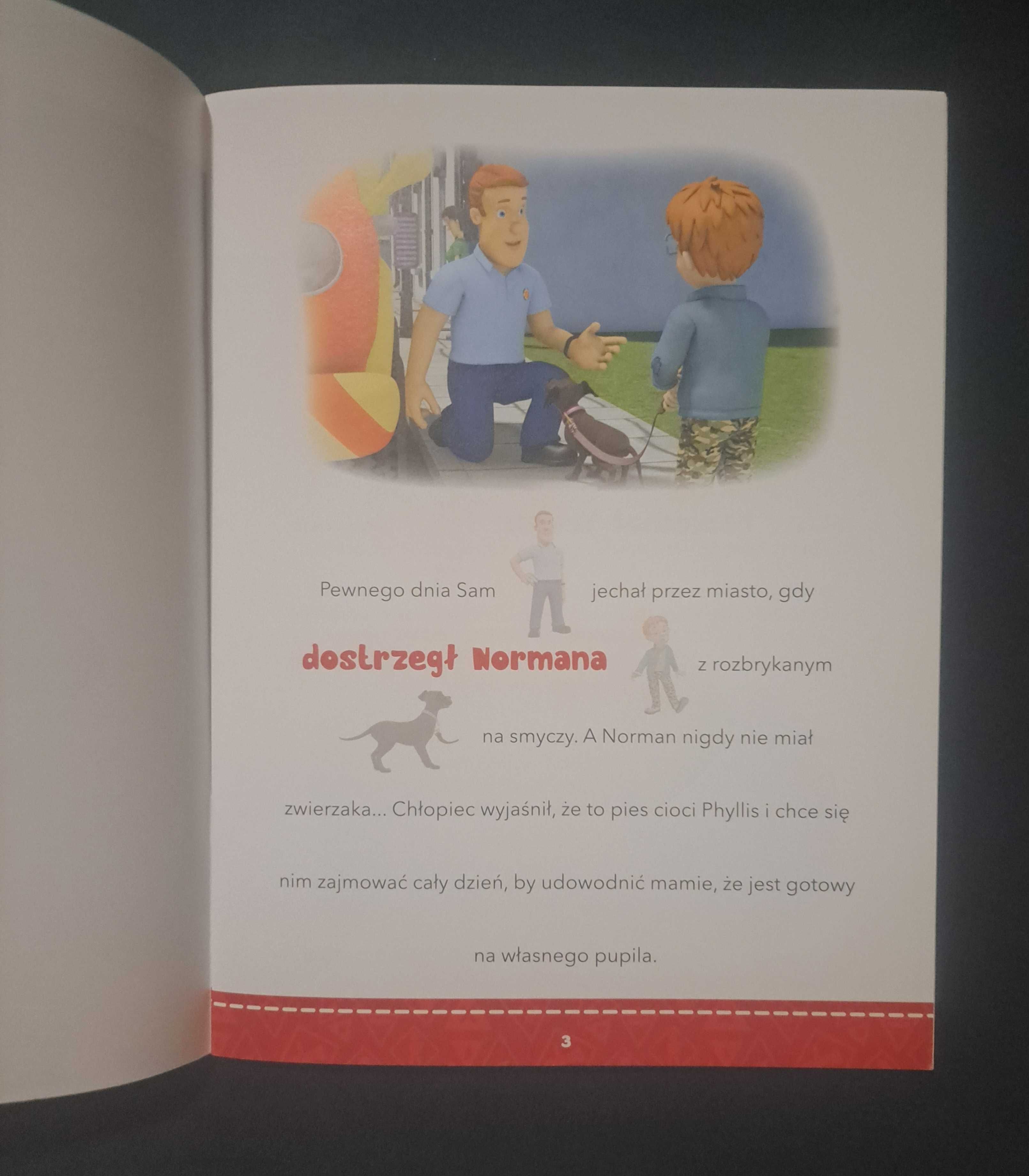 Książka Czytanki naklejanki. Katastrofa pod psem. Strażak Sam