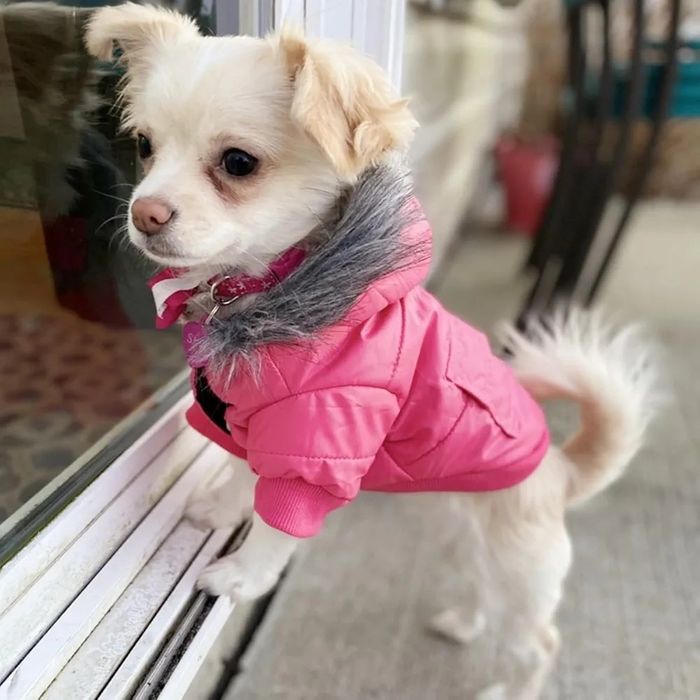 Różowa kurteczka dla psa S z ocieplanym kapturem U23
Obwód w klatce ok