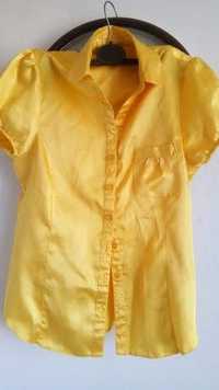 Стильная блуза золотого  и мятного цвета
