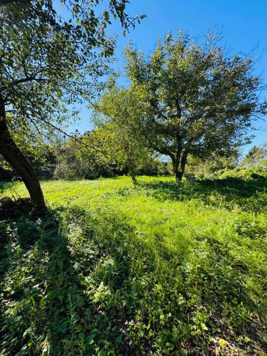 Продаж будинку, с.Полоничі, 55 м.кв., 10 сот., БЕЗ КОМІСІЇ ДЛЯ ПОКУПЦЯ