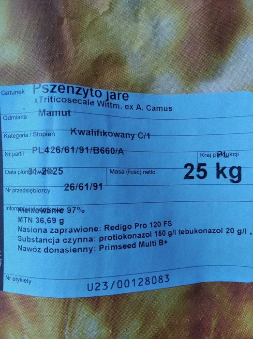 Pszenżyto jare Mamut pszenica jara  Telimena peluszka, wyka, seradela