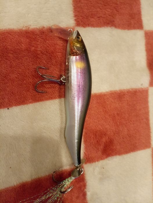 Amostras duras achigã