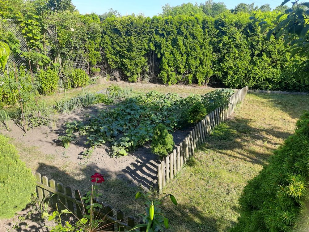 ROD Nad Stawem Gliwice działka 230m2