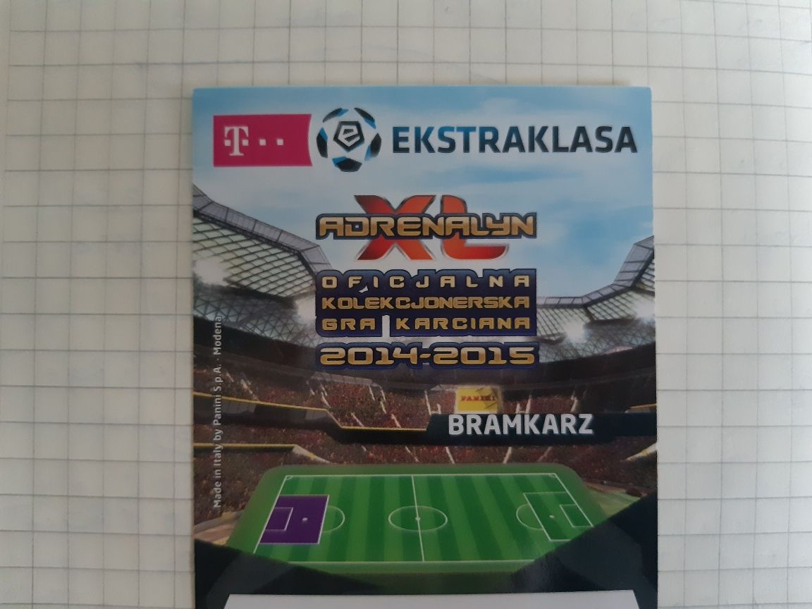 PANINI Ekstraklasa 2014/2015 Dusan Kuciak