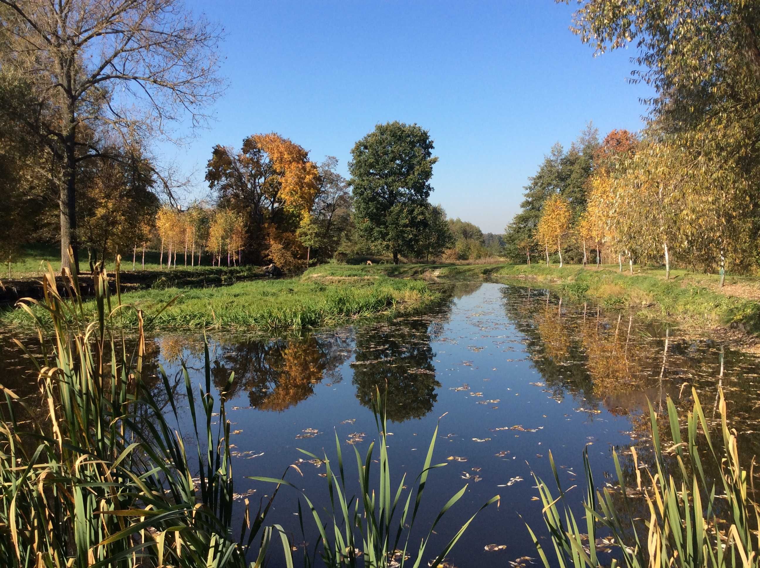 Panieńskie ,Kawalerskie Nowy sezon ,sauna ,bania