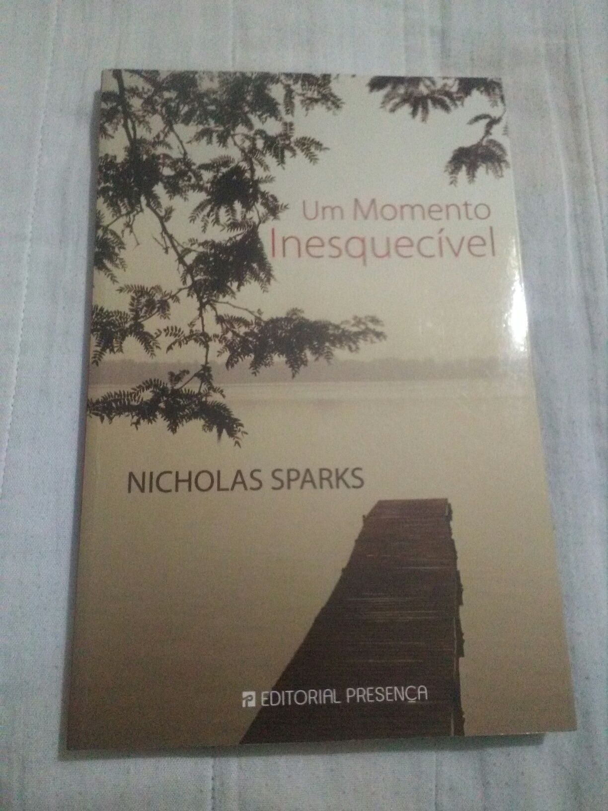 Livro: Nicholas Sparks , Um momento inesquecível