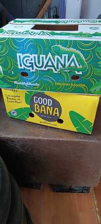Ящики от бананів