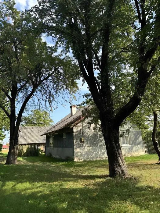 Ділянка 25 сот в с. Пійло