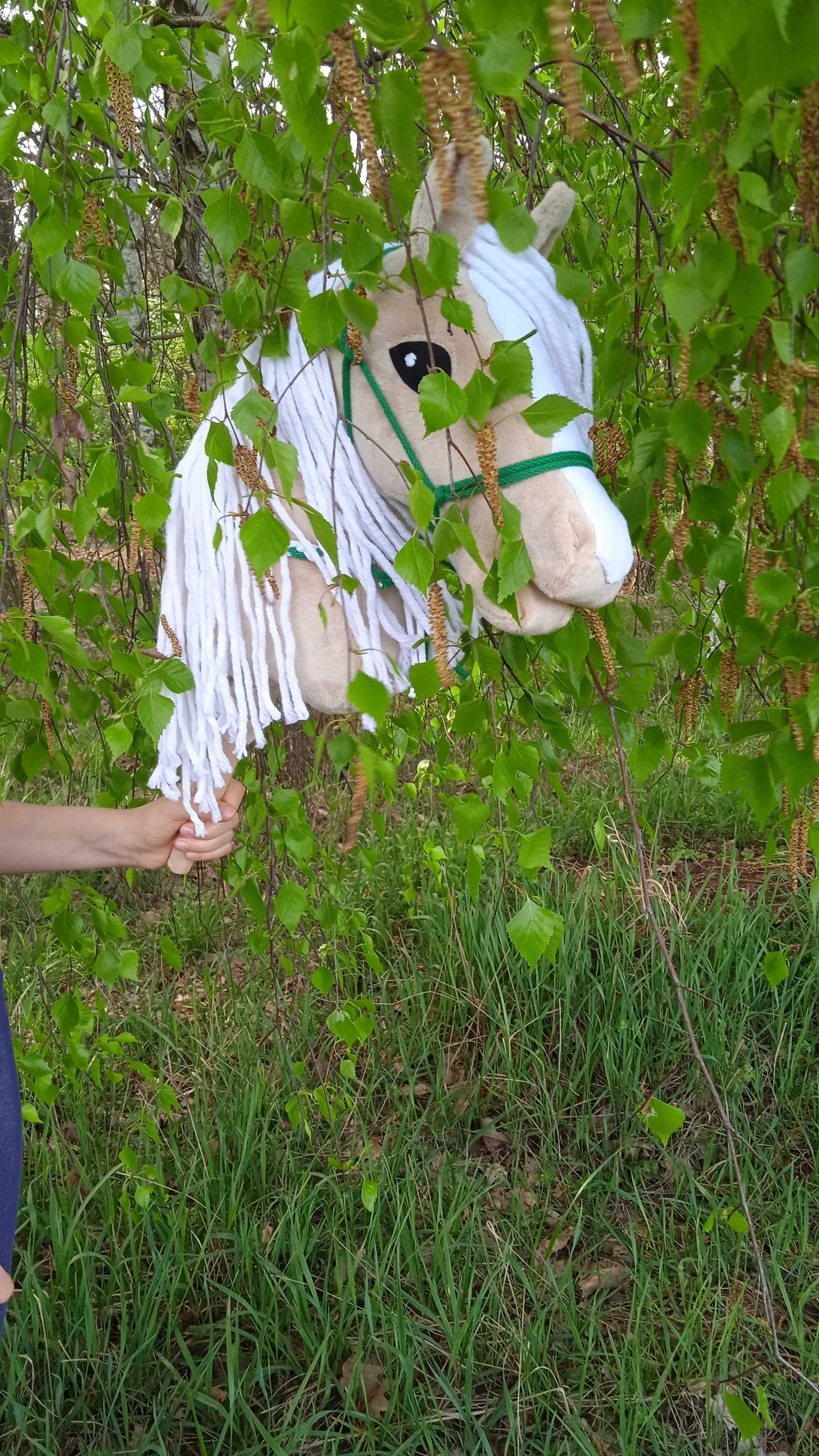 Hobby horse izabelowaty + halter + cordeo