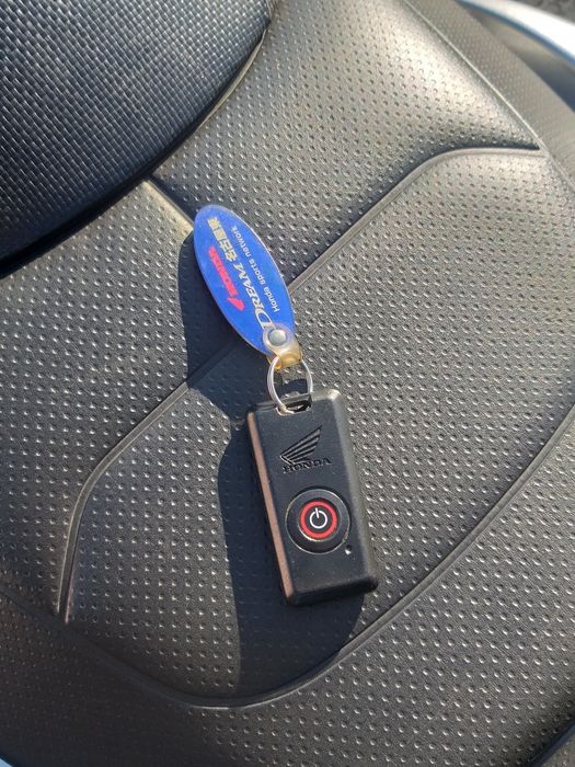 Honda Forza Z 250 MF08