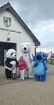 Wynajem Ogromny Biały Miś, Panda Stitch wata cukrowa na imprezy Lubin