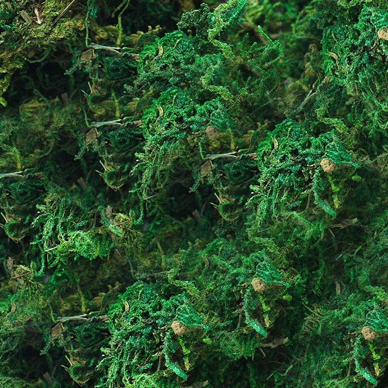 Sztuczny mech zielony dekoracyjny 30g mech suszony do dekoracji