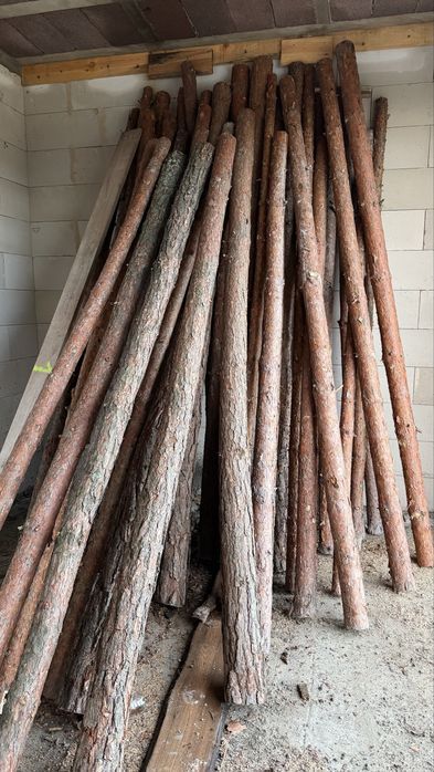 300 x Stemple drewniane