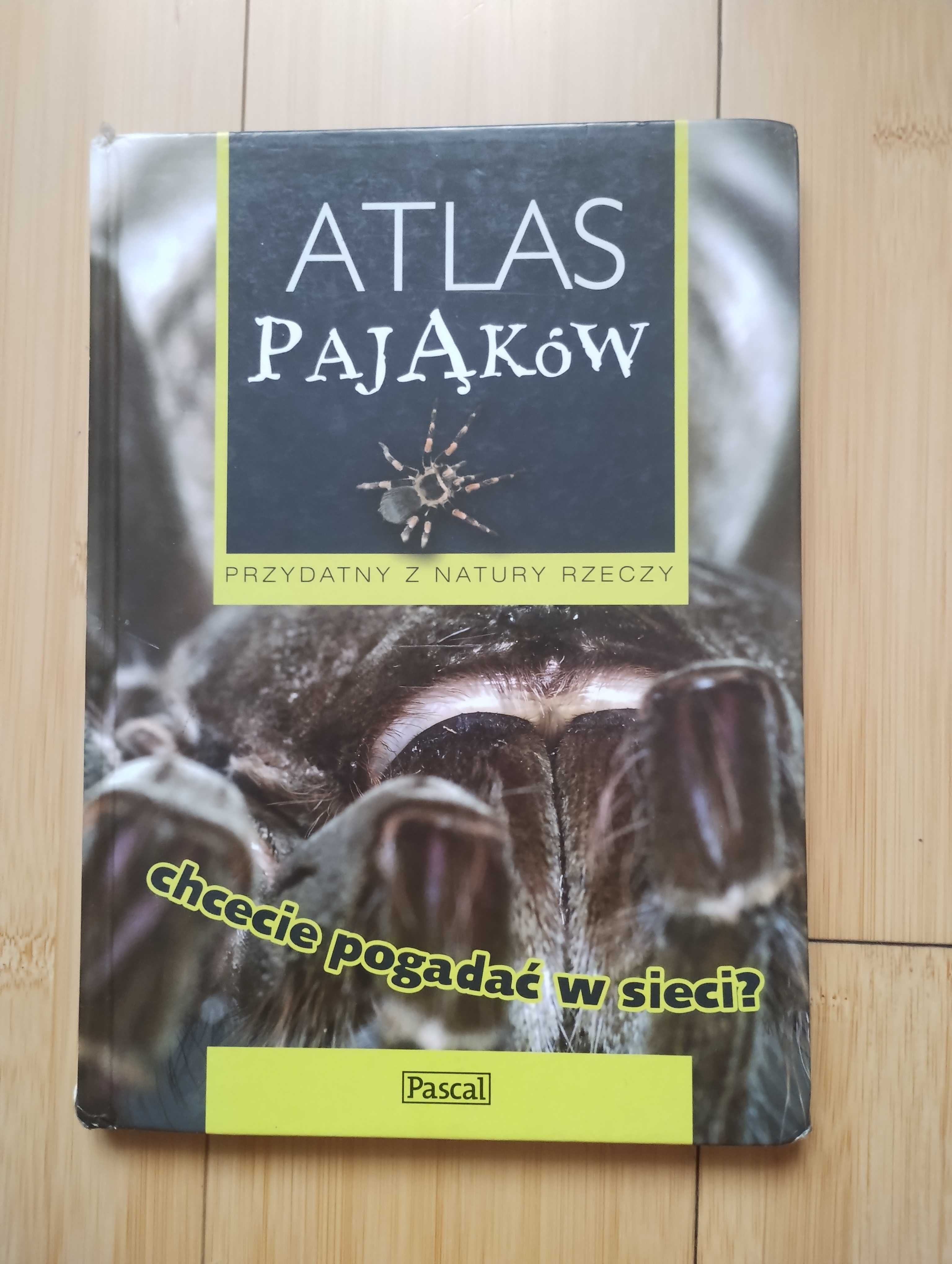 Ł. Przybyłowicz - Atlas pająków : chcecie pogadać w sieci?
