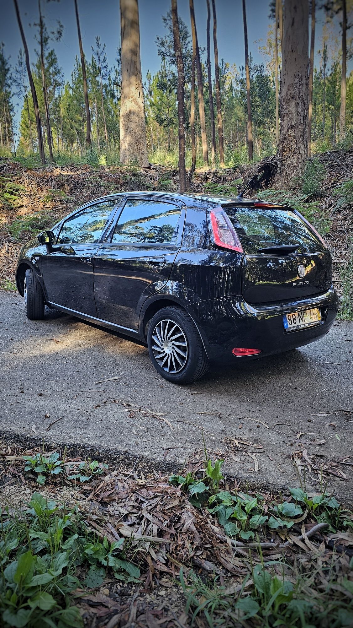 Fiat Punto EVO bi-fuel