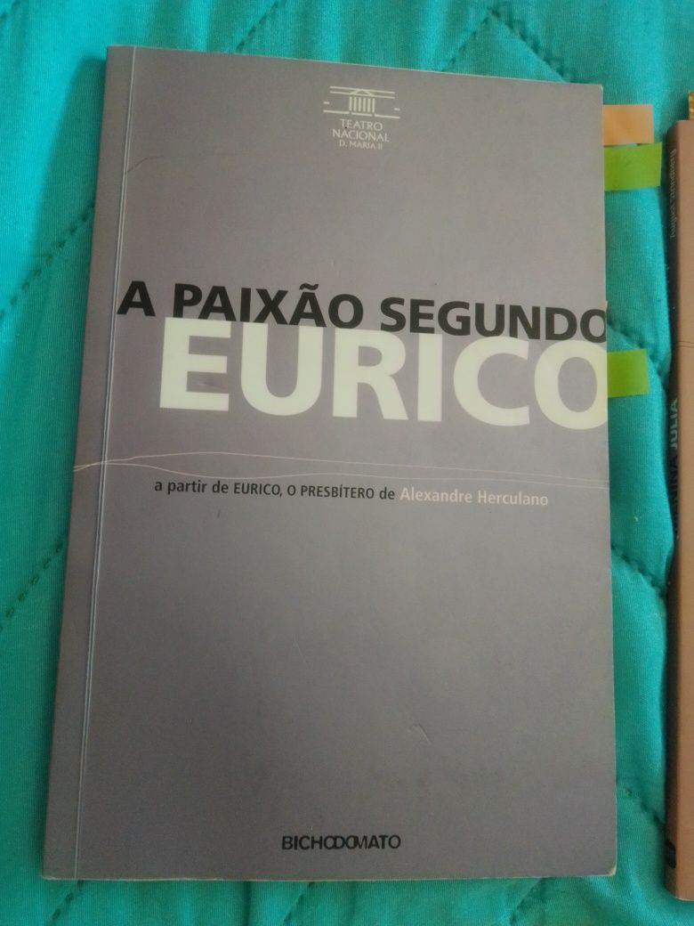 Conjunto Livros Menina Rica e Menina Pobre/Menina Júlia/75 Conselhos