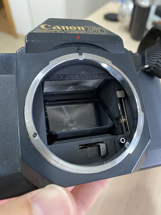 Canon T50 - Câmera Analógica