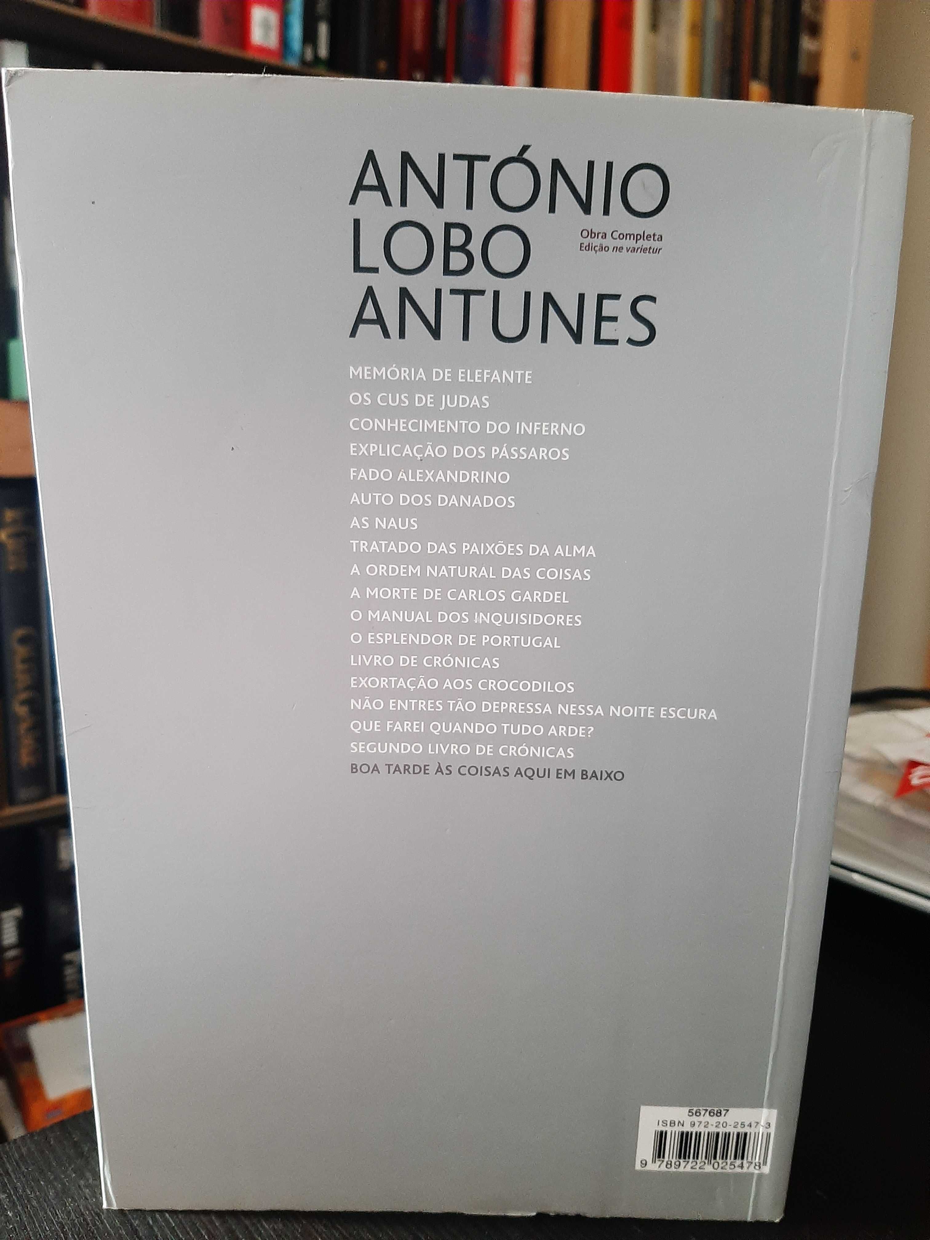 António Lobo Antunes – Boa tarde às coisas aqui em baixo