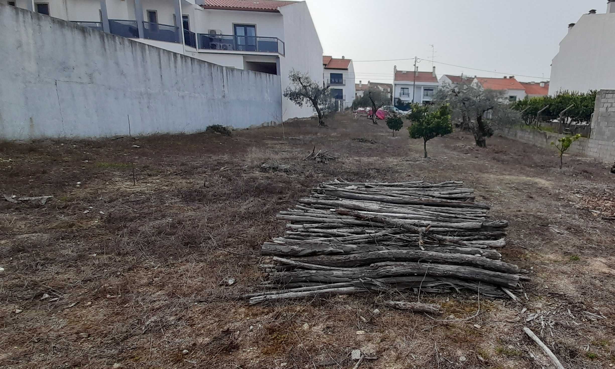 2 lotes de terreno em Castelo Branco (Oportunidade)