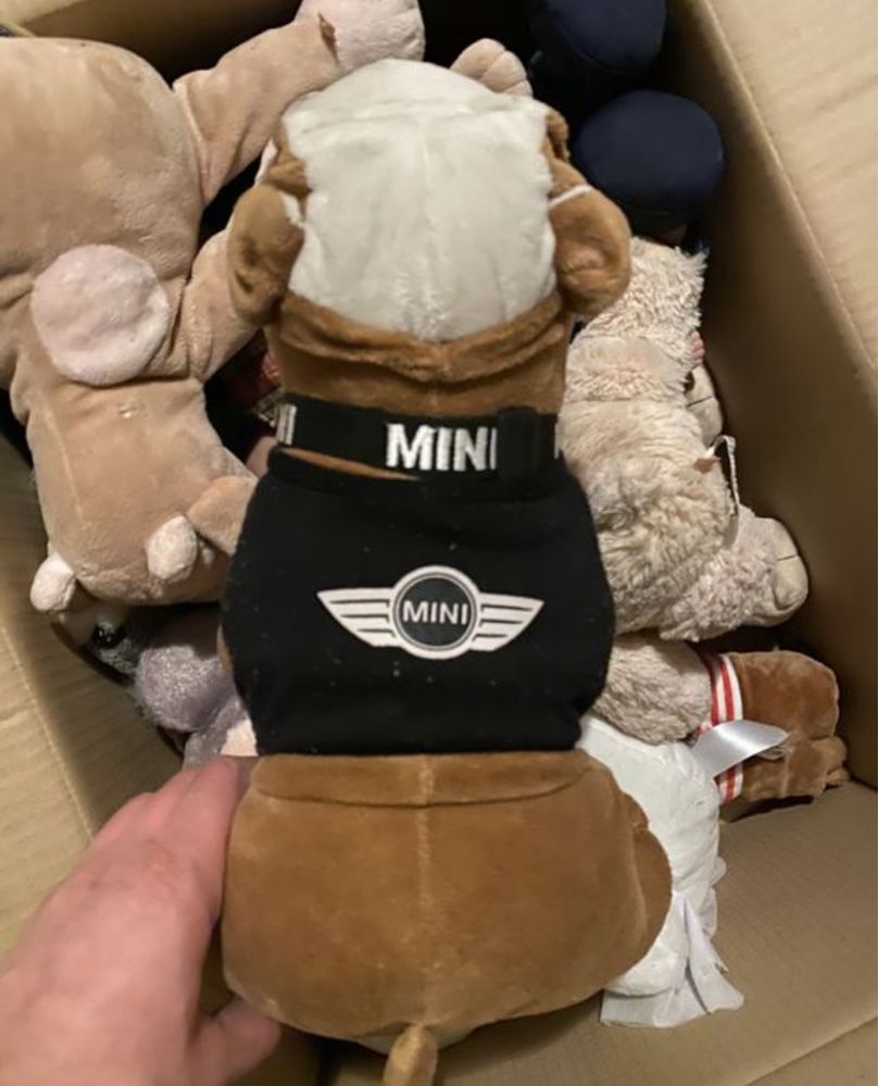 Bulldog Original MINI novo