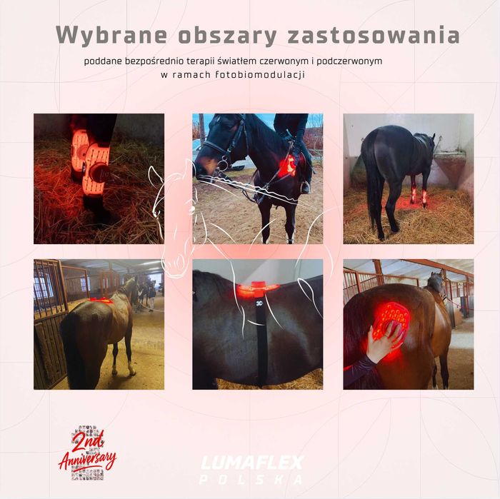 Lumaflex Panel LED Poprawa krążenia ból terapia światłem czerwonym FDA