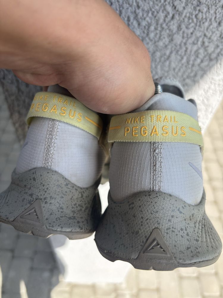Кросівки Nike Trail Pegasus 38,5