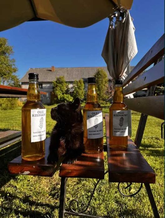 Naturalny olej rzepakowy 3 x 0,5l - tłoczony na zimno