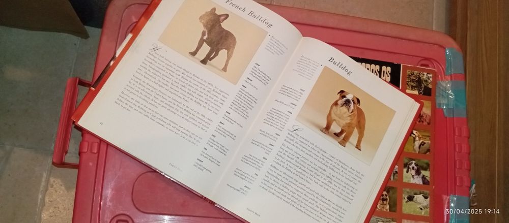 Livros antigos sobre animais
