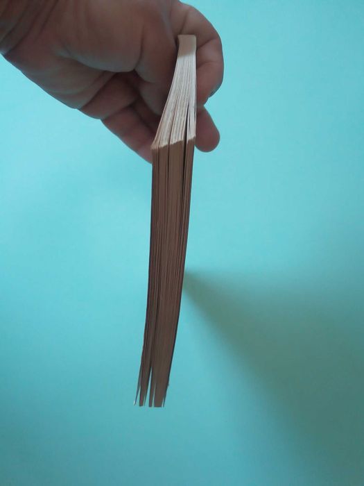 Livro "O Boxer", de Anni Mortensen