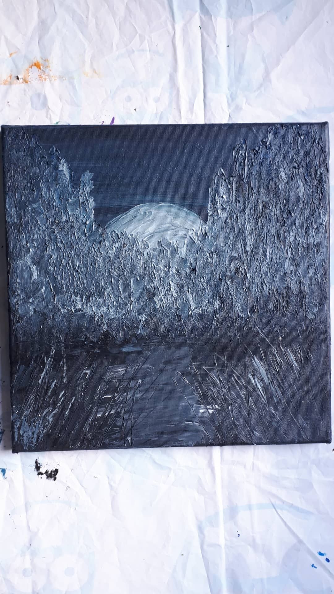 Obraz akrylowy księżycowa noc płótno 30x30