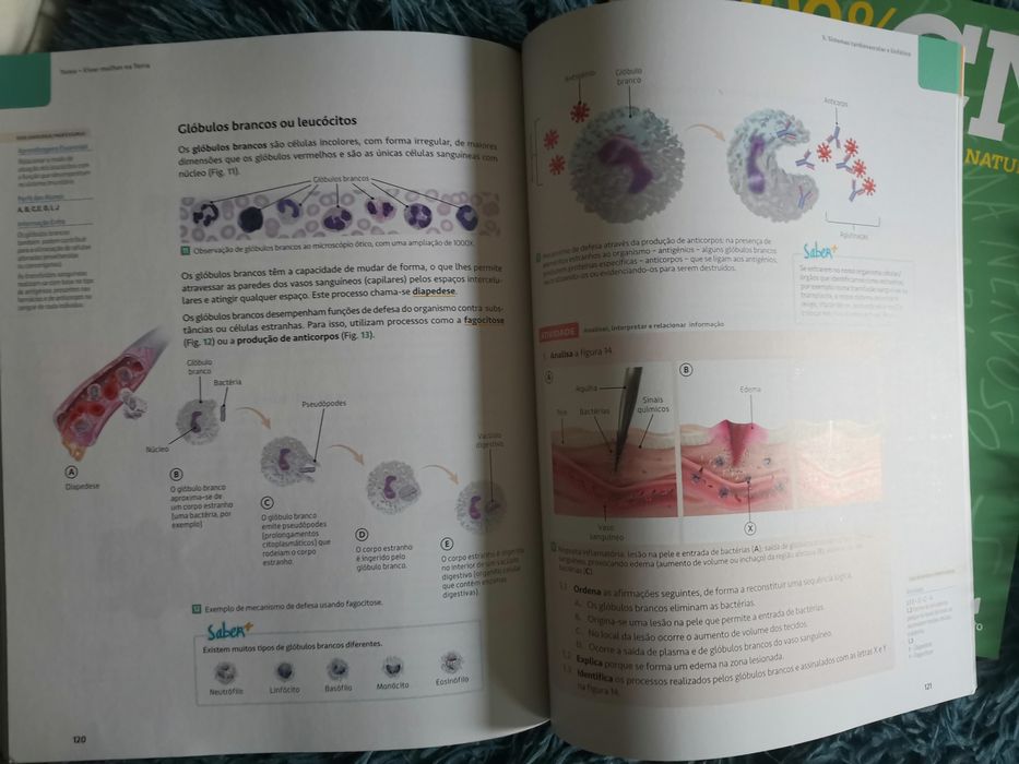 Manual novo Ciências naturais - 100% CN 9° ano