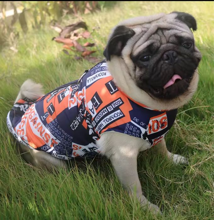 Утепленная зимняя одежда для собак