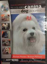 Maltańczyk grooming płyta DVD