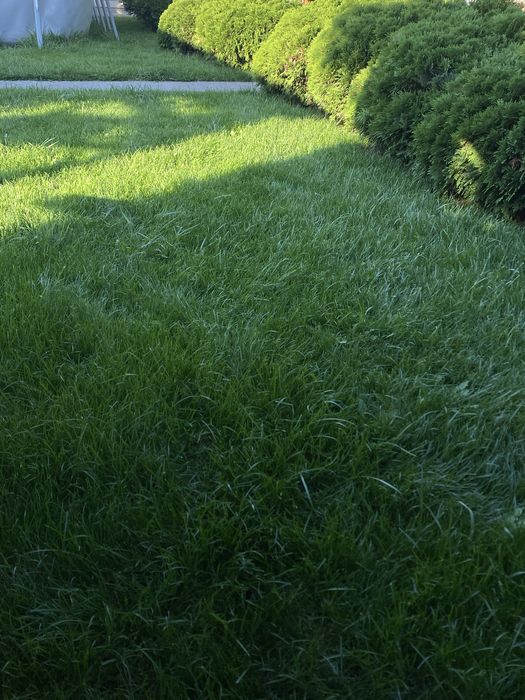 Аренда аэратора скарификатора  для газона Al-ko