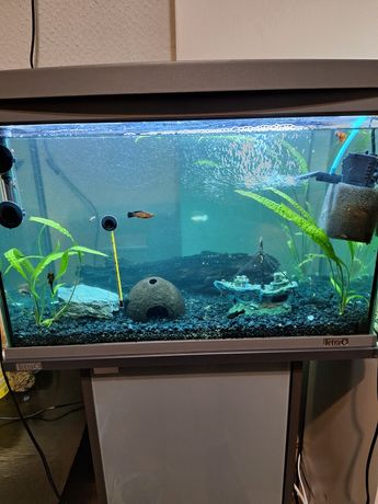 Sprzedam Akwarium 60l + półka Tetra [z wszystkim]