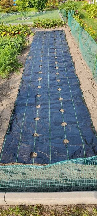 50m x 110cm Agrotkanina na chwasty OTWORAMI pod TRUSKAWKI ogórki itp
