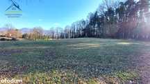9700m2 - działka marzeń, z lasem i strumykiem!
