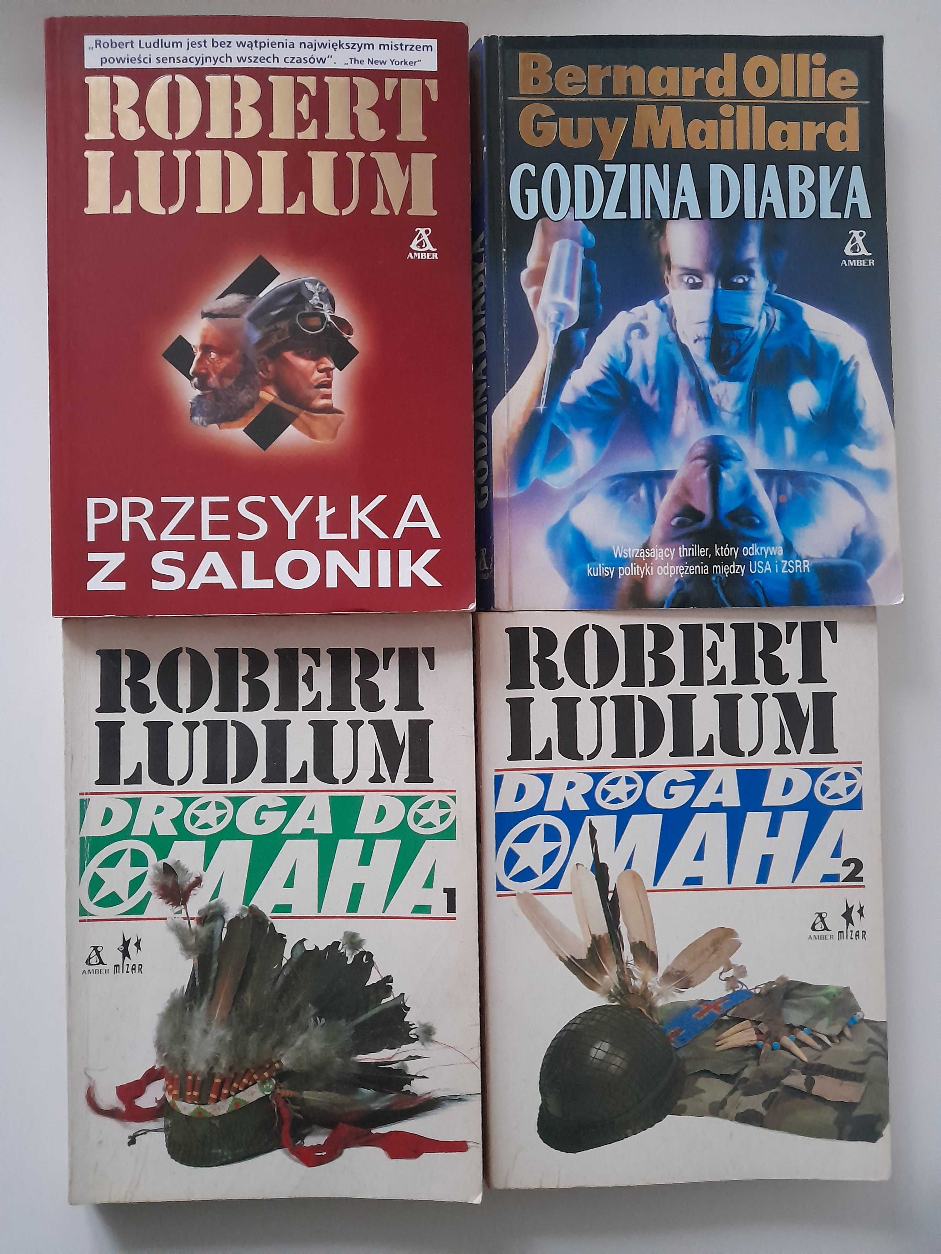 Przesyłka z Salonik Robert Ludlum + 2 książki sensacyjne