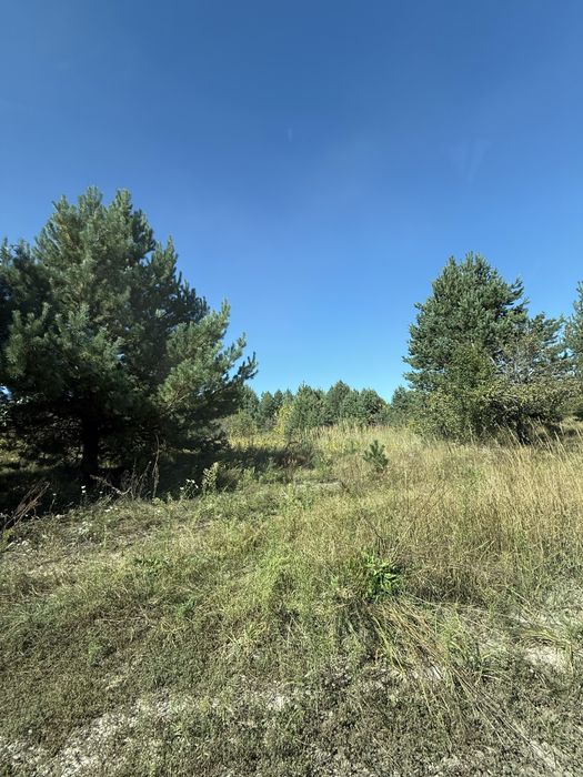 Земельна ділянка 50 км від Києва. Форма правильна, елекрика поруч