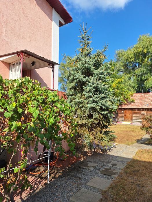 Затишний будинок на березі озера