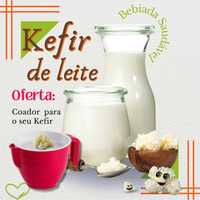 Grãos de Kefir - Probióticos