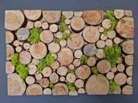 Obraz plastry drewna z mchem