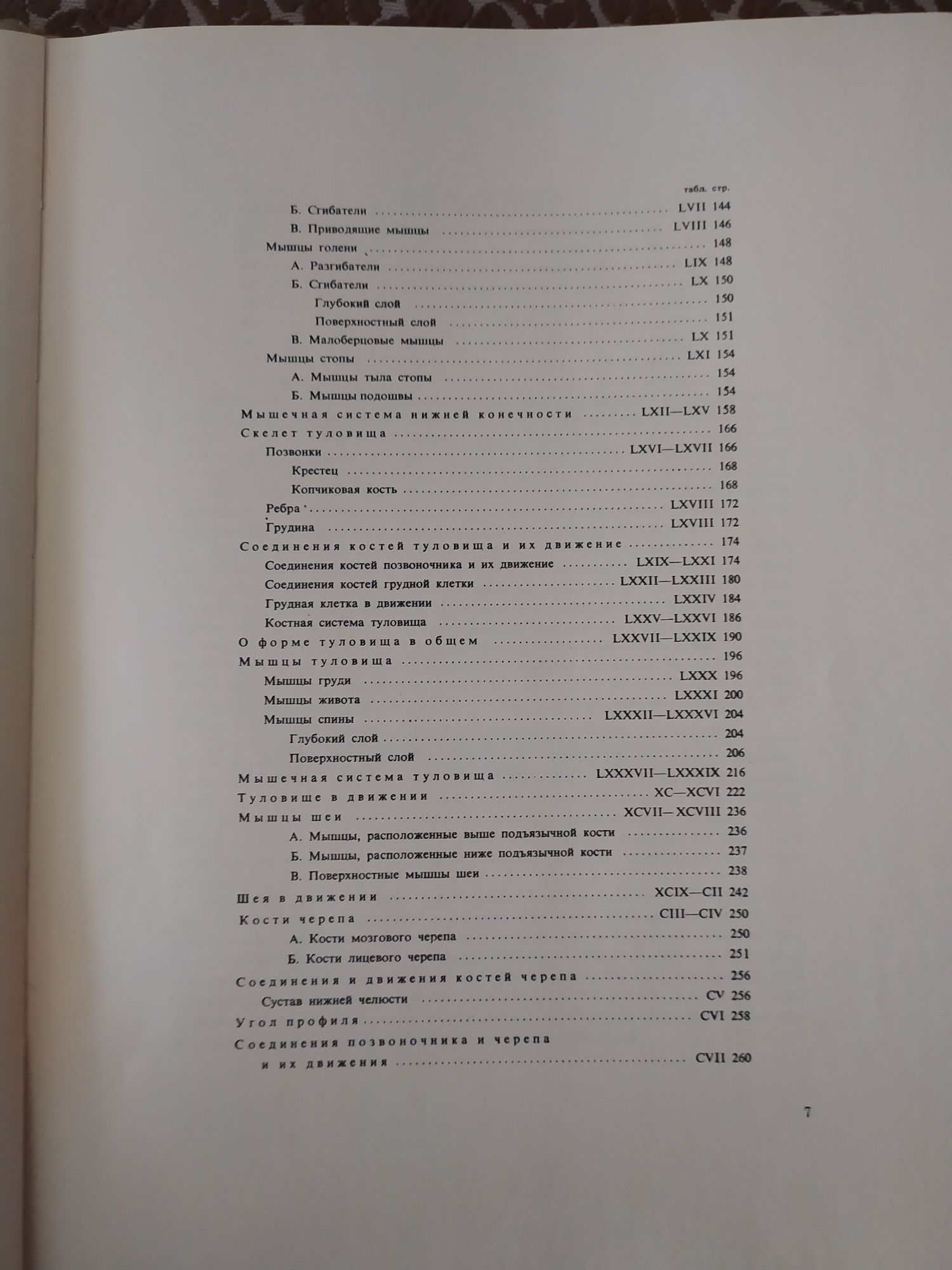 Анатомия для художников