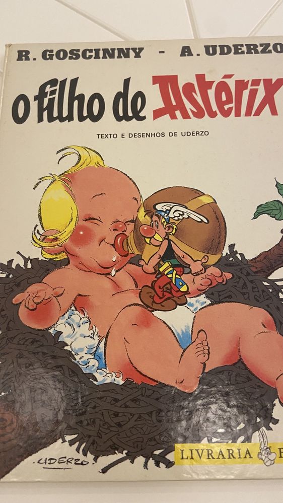 Livro do Asterix - filho do Asterix